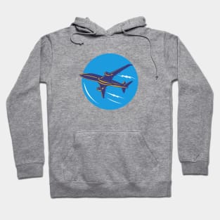 Airplane Hoodie